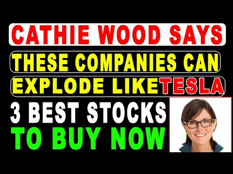 Cathie Wood Reveals Next Tesla Stock | Should You Buy For 10x Growth??