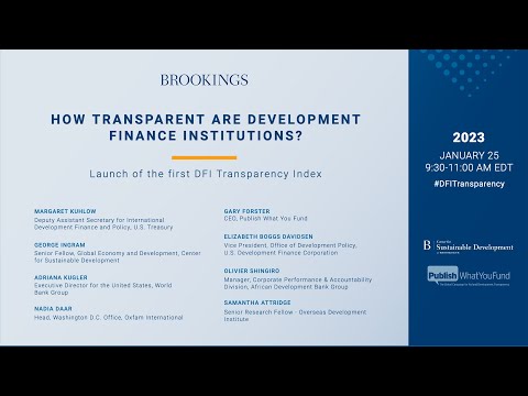 How transparent are development finance institutions