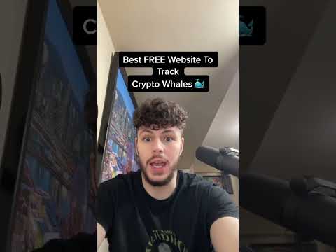 HOW TO FIND &amp; TRACK CRYPTO WHALES YOURSELF! 🐳