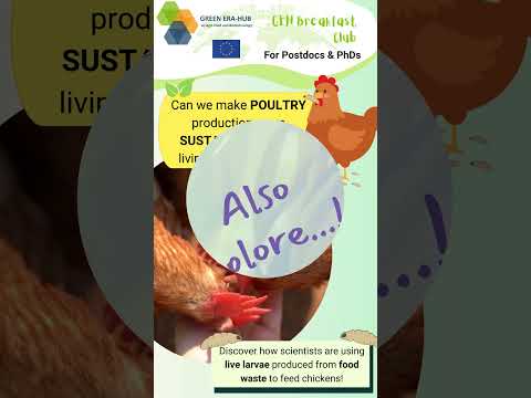 🐓 🌾 Revolutionizing Food Systems: Insect Larvae for Poultry Feed and Climate-Smart Proteins 🌏