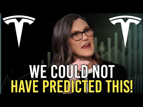 Cathie Wood: If You Are a Tesla Shareholder... Get Ready for Something HUGE