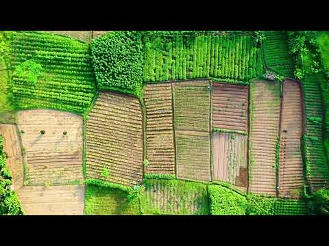 Revolutionizing Agriculture: The Latest Technologies and Techniques for a Sustainable Future