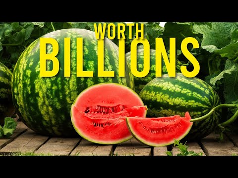 World&#039;s Most Expensive Watermelon! New Farming Secrets Unveiled 🌱🍉