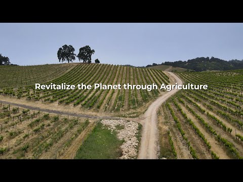 Revitalize the Planet through Agriculture, a documentary Project, the Vision