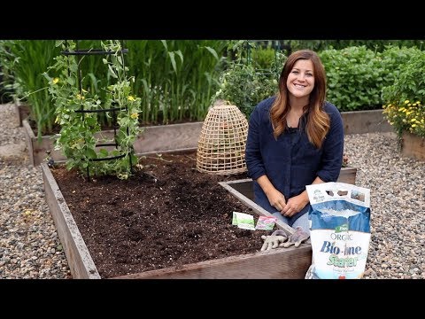 Planting For Fall Harvest! 👩‍🌾🌿// Garden Answer